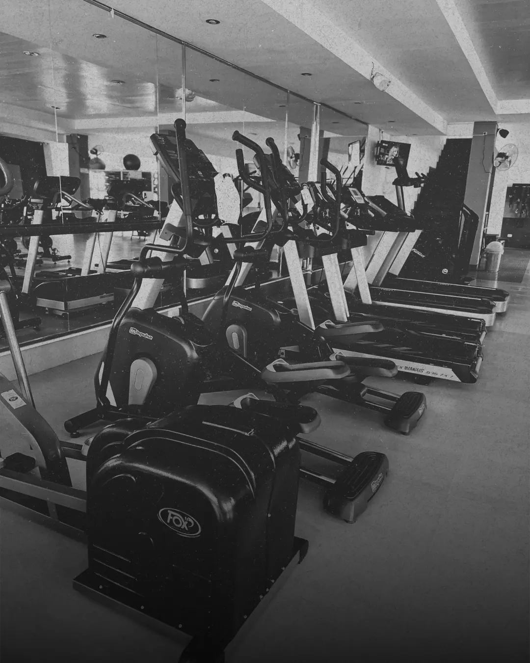 Entrenamiento Coliseo · Pase Libre de Musculación